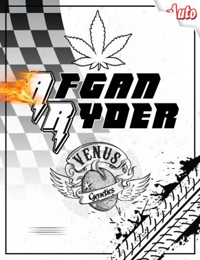 afgan-ryder-auto-image