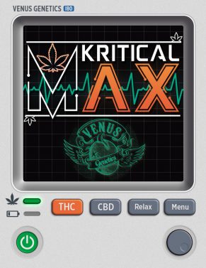 kritical-max-image