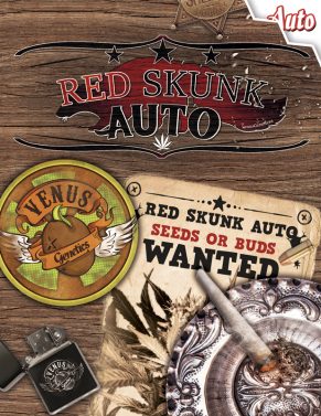 red-skunk-auto-image