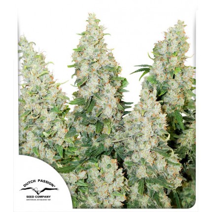 think-different-image