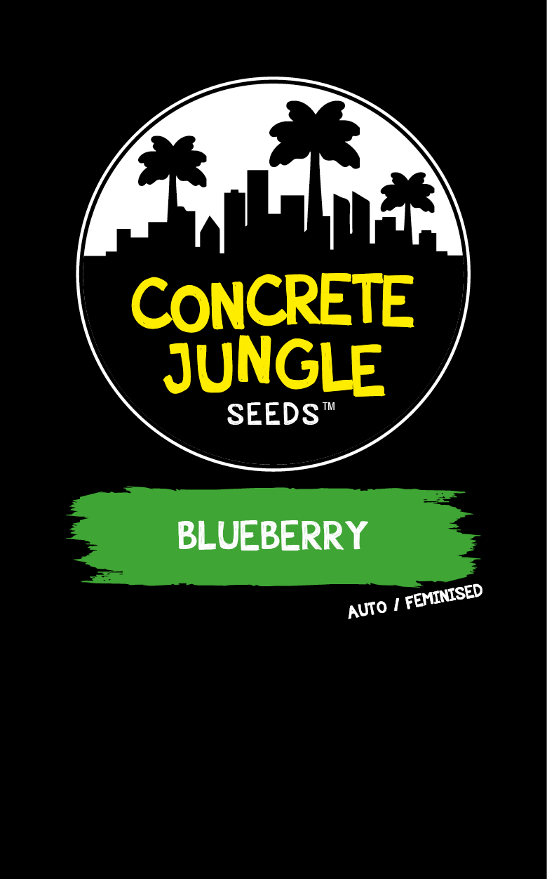 blueberry-auto-image