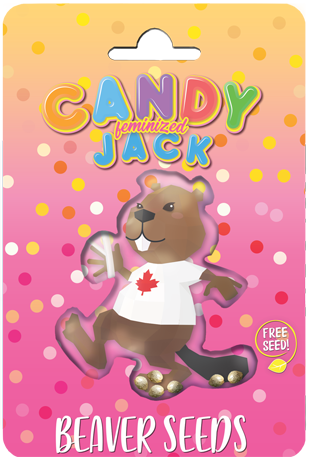 candy-jack-image