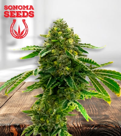 alien-technology-image