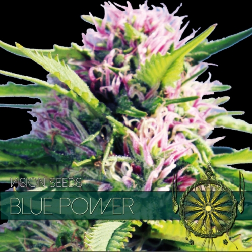 blue-power-image