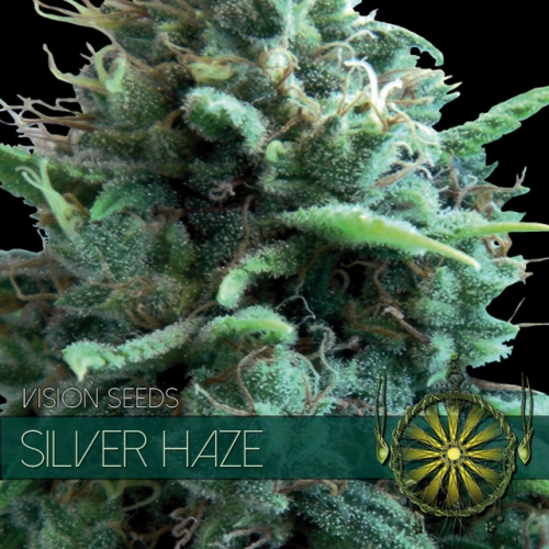 silver-haze-image