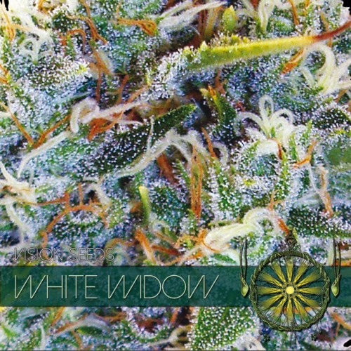 white-widow-image