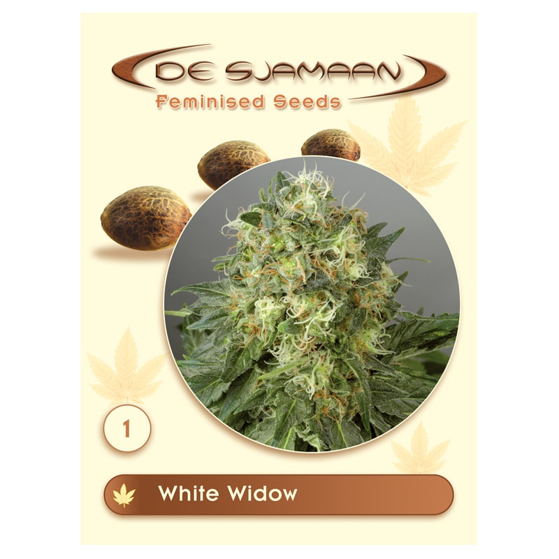white-widow-image