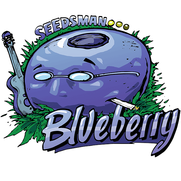 blueberry-image