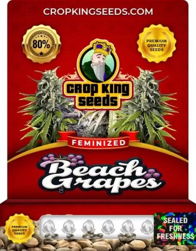 Beach Grapes