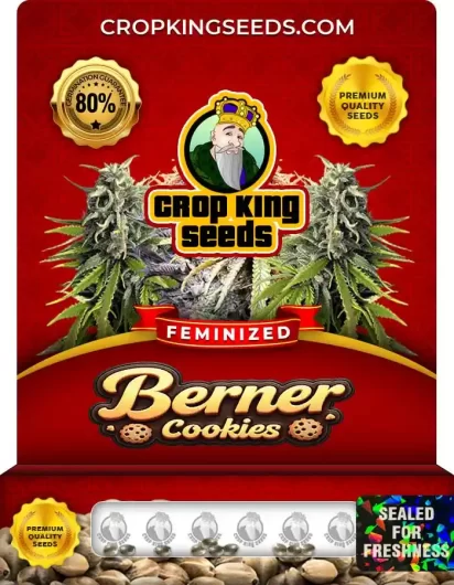 berner-cookies-image