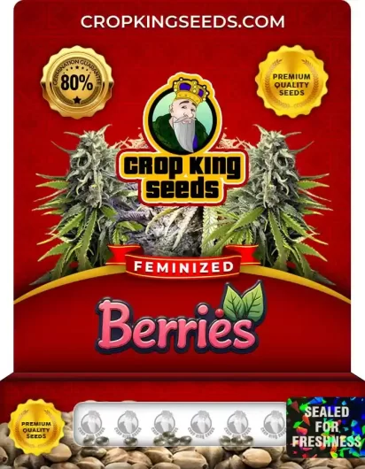 berries-image