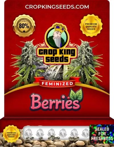 Berries