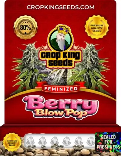 Berry Blow Pop