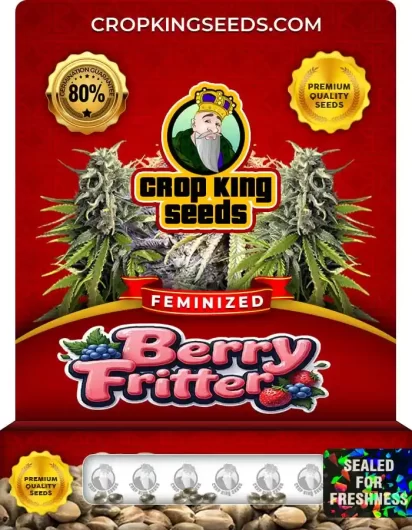 berry-fritter-image