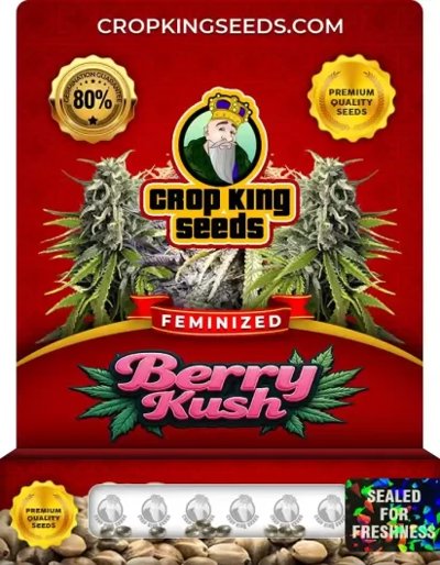 Berry Kush