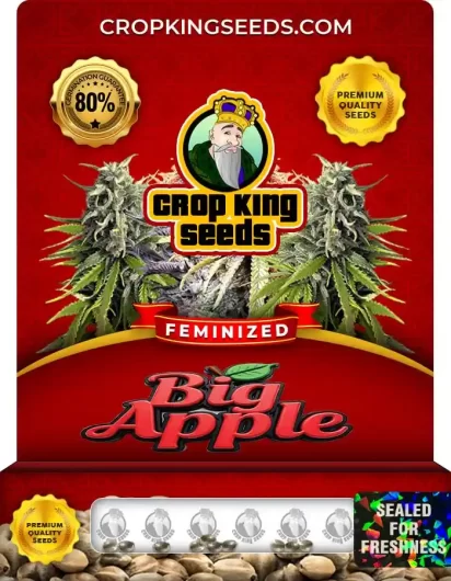 big-apple-image