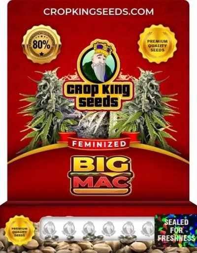 Big Mac
