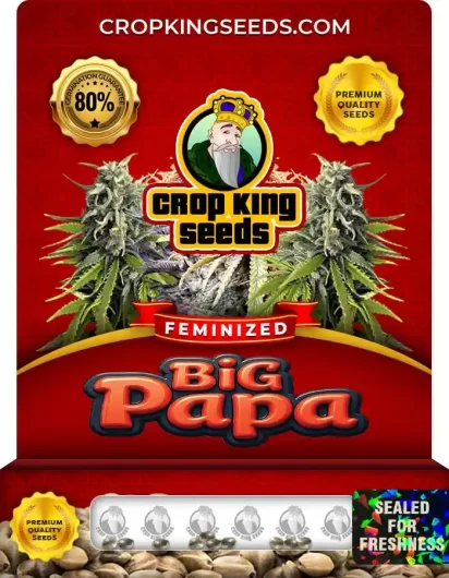 big-papa-image