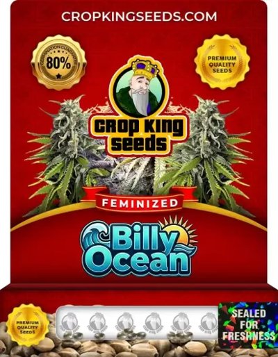 Billy Ocean