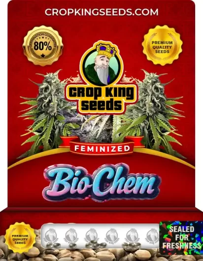 bio-chem-image