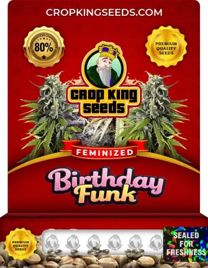 birthday-funk-image
