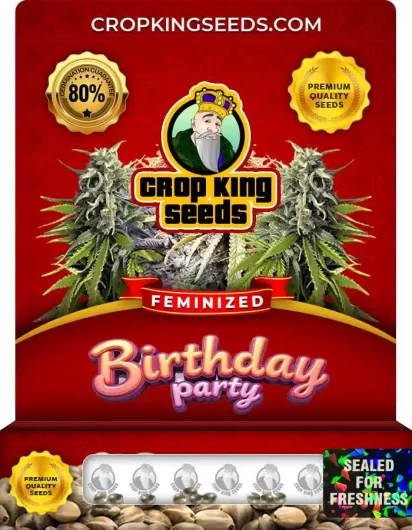 birthday-party-image