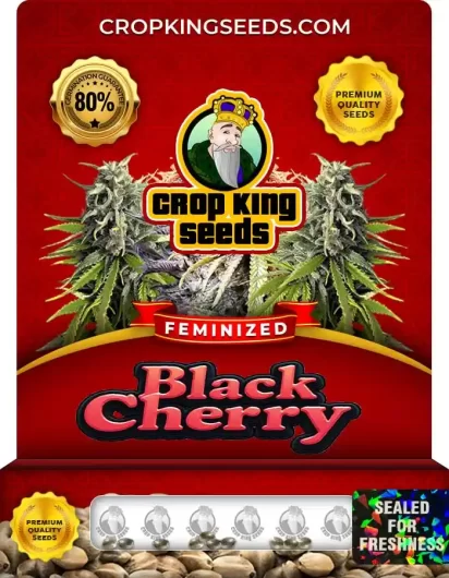 black-cherry-image