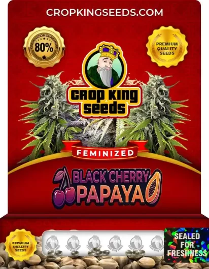 black-cherry-papaya-image