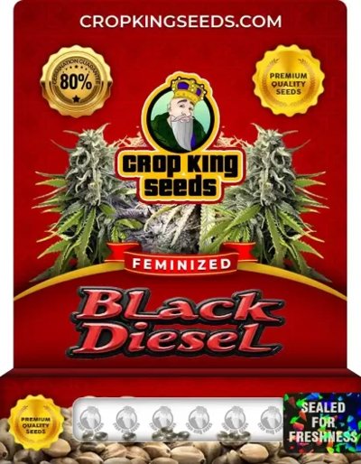 Black Diesel