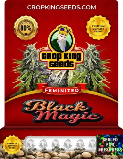 black-magic-image