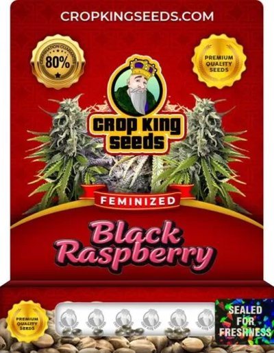 Black Raspberry