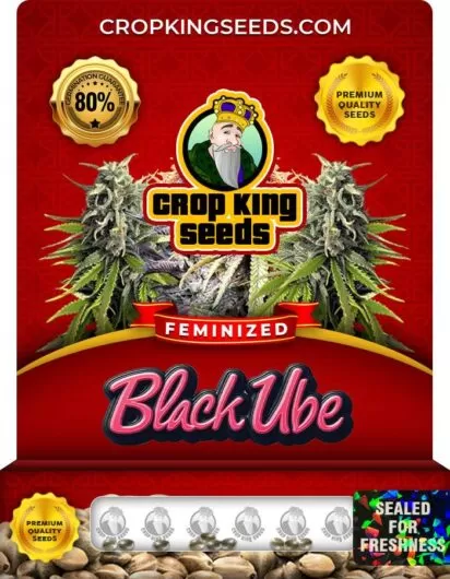 black-ube-image