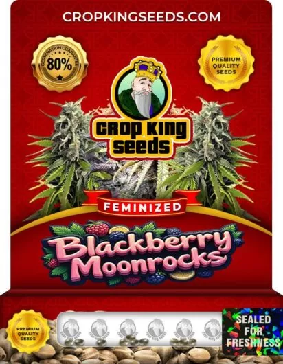 blackberry-moonrocks-image
