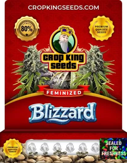 blizzard-image