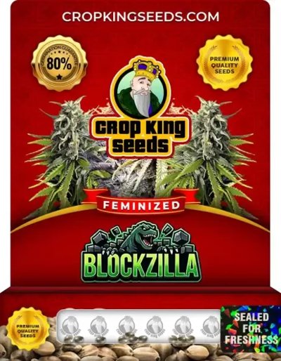 Blockzilla