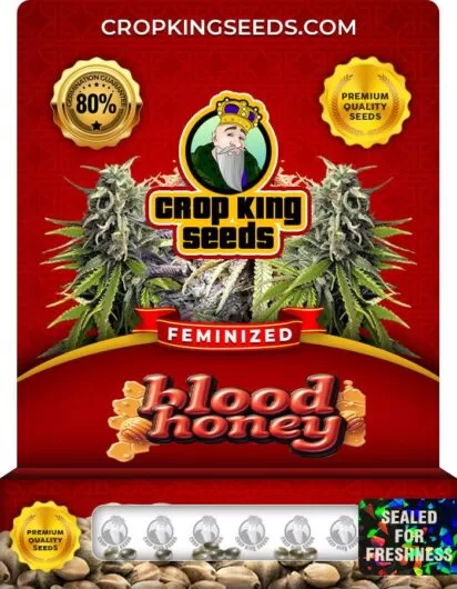 blood-honey-image