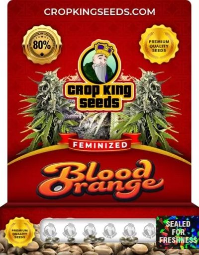 Blood Orange