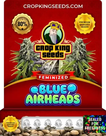 blue-airheads-image