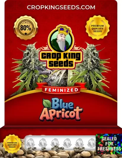 blue-apricot-image