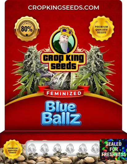blue-ballz-image