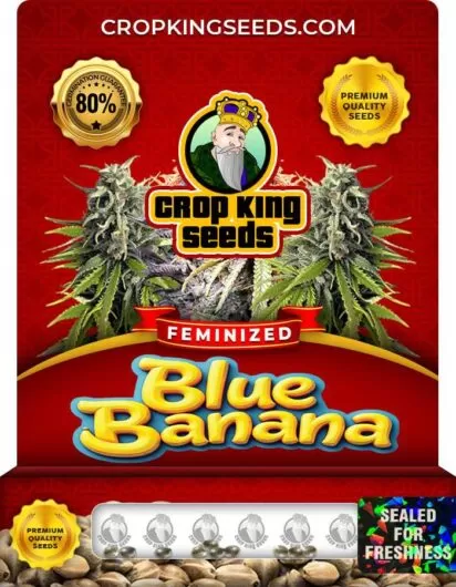 blue-banana-image