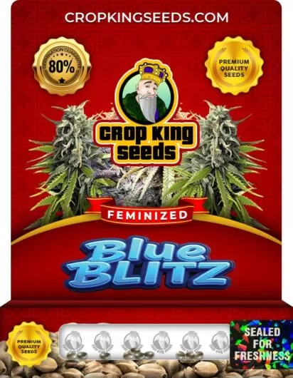 blue-blitz-image