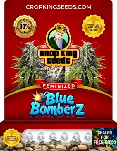 Blue Bomberz