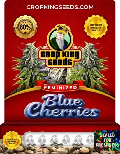 blue-cherries-image