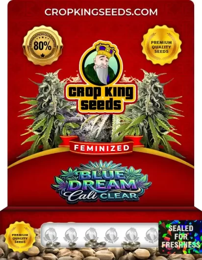 blue-dream-cali-clear-image