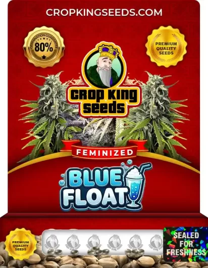 blue-float-image