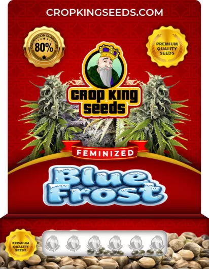 blue-frost-image