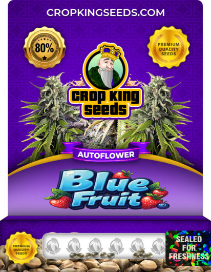 blue-fruit-autoflowering-image