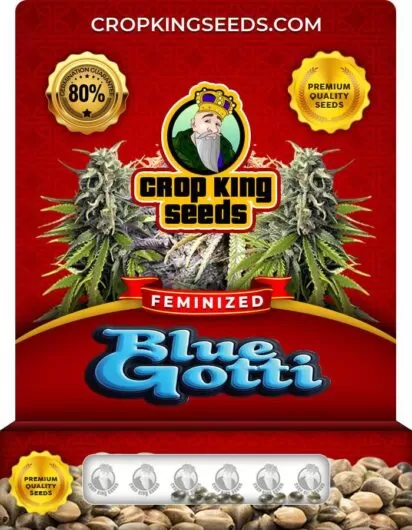 blue-gotti-image