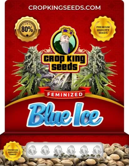 blue-ice-image